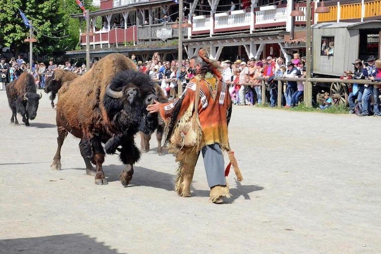 Harz Holiday Park, Хаселфелде Екстериор снимка